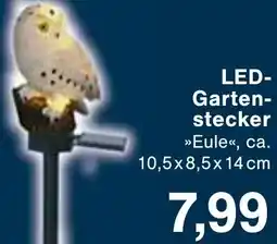Wiglo Wunderland LED- Gartenstecker Angebot