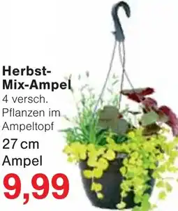 Wiglo Wunderland Herbst- Mix-Ampel Angebot