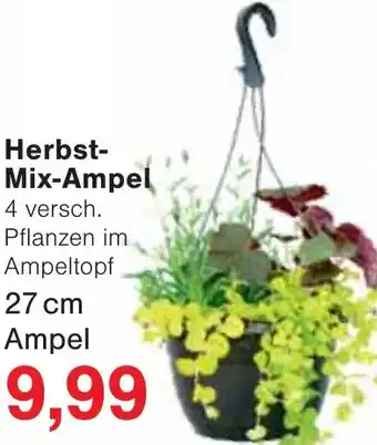 Wiglo Wunderland Herbst- Mix-Ampel Angebot