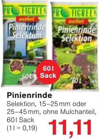 Wiglo Wunderland Pinienrinde Angebot