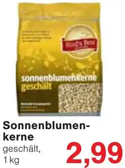 Wiglo Wunderland Sonnenblumenkerne Angebot