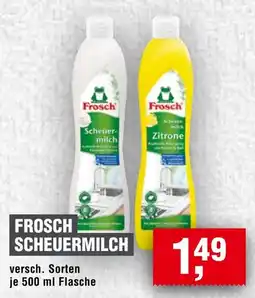 Handelshof FROSCH SCHEUERMILCH Angebot