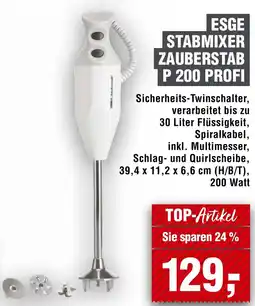 Handelshof ESGE STABMIXER ZAUBERSTAB P 200 PROFI Angebot