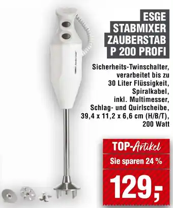 Handelshof ESGE STABMIXER ZAUBERSTAB P 200 PROFI Angebot