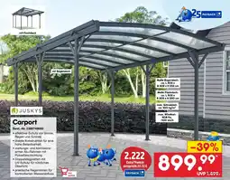 Netto Marken-Discount JUSKYS Carport Angebot