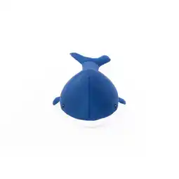 Netto Marken-Discount Westmann Pool Buddy versch. Ausführungen Angebot