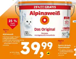Globus Baumarkt Alpina Alpinaweiẞ Angebot