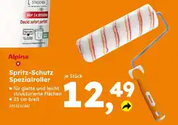 Globus Baumarkt Alpina Spritz-Schutz Spezialroller Angebot