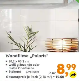 Globus Baumarkt Wandfliese ,,Polaris" Angebot
