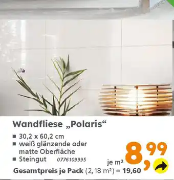 Globus Baumarkt Wandfliese ,,Polaris" Angebot