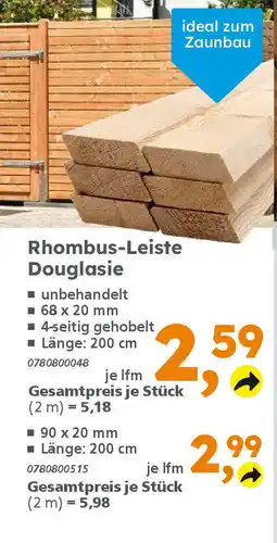 Globus Baumarkt Rhombus-Leiste Douglasie Angebot
