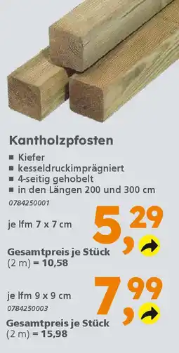 Globus Baumarkt Kantholzpfosten Angebot