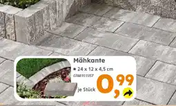 Globus Baumarkt Mähkante Angebot