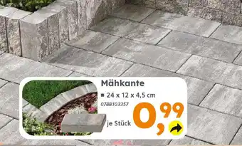 Globus Baumarkt Mähkante Angebot