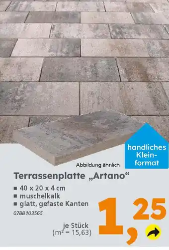 Globus Baumarkt Terrassenplatte „,Artano" Angebot