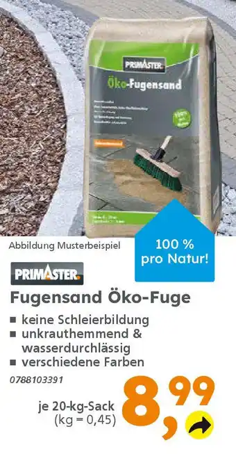 Globus Baumarkt PRIMASTER Fugensand Öko-Fuge Angebot