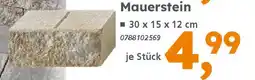 Globus Baumarkt Mauerstein Angebot