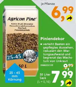 Globus Baumarkt Agricon Piniendekor Angebot