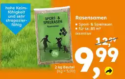 Globus Baumarkt Rasensamen Angebot