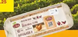 Netto Marken-Discount Vom Land Eier aus Bodenhaltung Angebot
