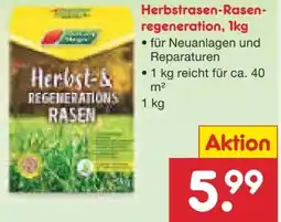 Netto Marken-Discount Garten Magie Herbstrasen-Rasenregeneration Angebot