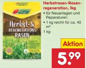Netto Marken-Discount Garten Magie Herbstrasen-Rasenregeneration Angebot