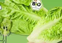 PENNY Naturgut Bio-Romana-Salatherzen Angebot