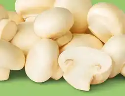 PENNY Marktliebe Champignons Angebot