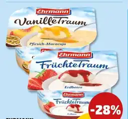 PENNY Ehrmann Vanille Traum Angebot