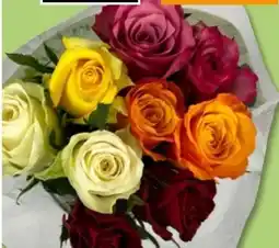 PENNY Fairtrade-Rosen Angebot
