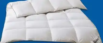 Lidl Fjödur Feder-Daunen-Kassettenbettdecke Klassik Angebot