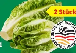 Lidl Mini Romana Angebot