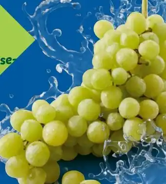 Lidl Bio-Trauben Angebot