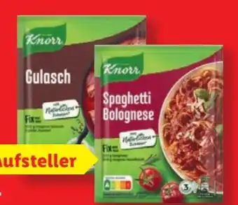 Lidl Knorr Fix Spaghetti Bolognese Angebot