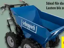 Lidl Scheppach Dumper DP3000 Angebot