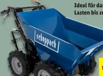 Lidl Scheppach Dumper DP3000 Angebot