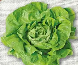 nahkauf Kopfsalat Angebot