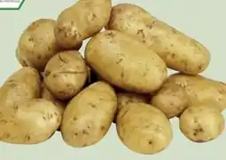 Edeka Xpress Bio Kartoffeln Angebot