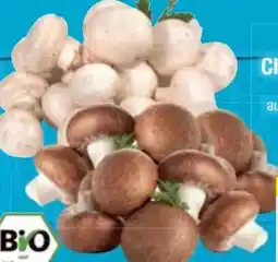 E-Center Bio-Champignons Angebot