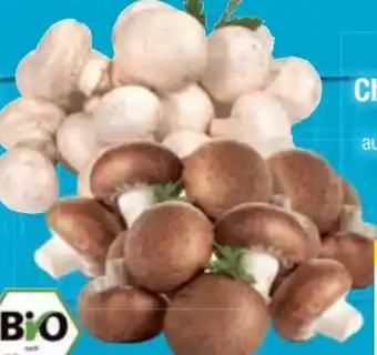 E-Center Bio-Champignons Angebot