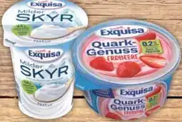 E-Center Exquisa Skyr Angebot