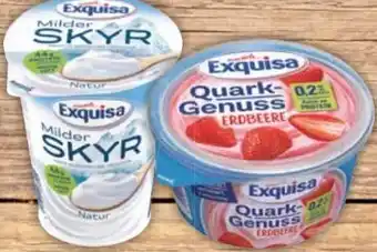 E-Center Exquisa Skyr Angebot