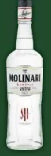 E-Center Molinari Sambuca Extra Angebot