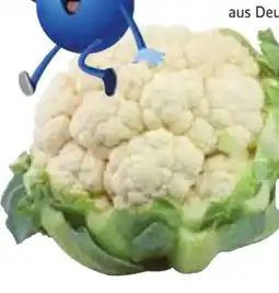 Edeka Blumenkohl Angebot