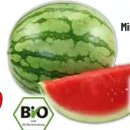 Edeka Bio-Mini-Wassermelone Angebot