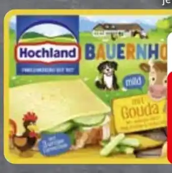 Edeka Hochland Käse-Scheiben Angebot