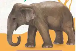 Edeka Schleich Tierfiguren Angebot