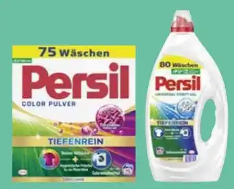 Edeka Persil Waschmittel Angebot