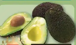 REWE Center Rewe Feine Welt Essreife Avocado Hass Angebot