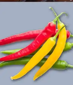 REWE Center Rewe Beste Wahl Chili Mix Tricolor Angebot